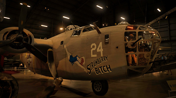 Strawberry Bitch B-24