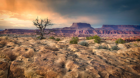 Canyonlands - Colorado River Overlook