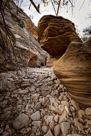Zion NP - Gifford Canyon Trail