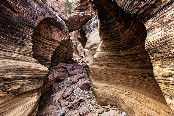 Zion NP - Gifford Canyon Trail
