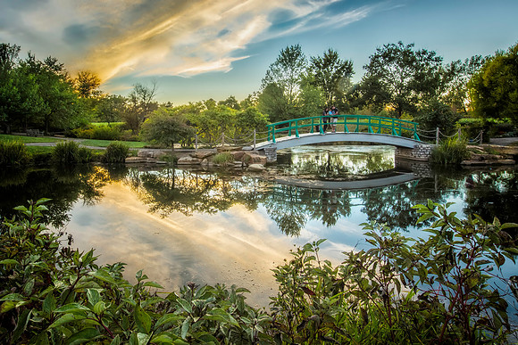 Sunset at Cox Arboretum