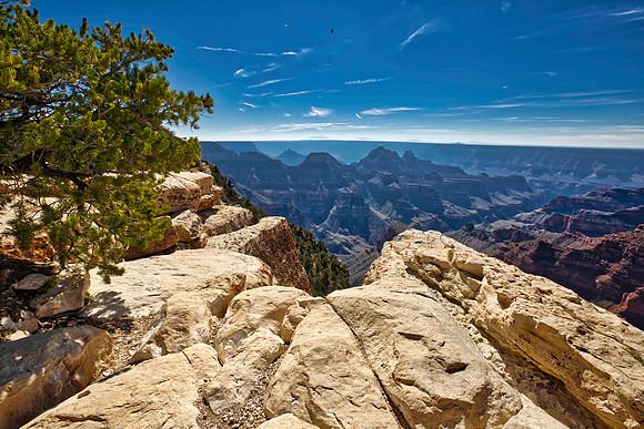 Grand Canyon North Rim - Bright Angel Point