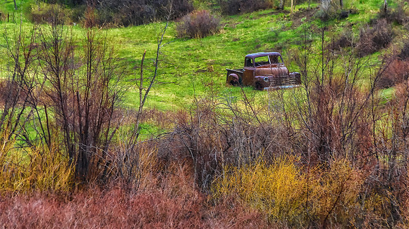 Abandoned Truck