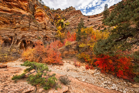 Zion NP - Pine Creek