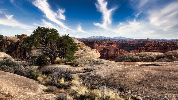 Canyonlands - Colorado River Overlook