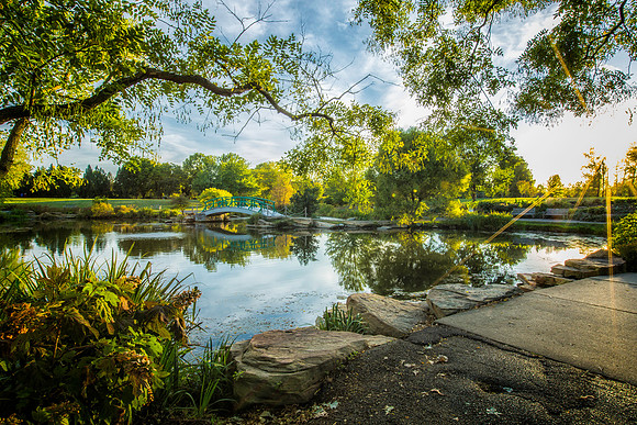 Lake at Cox Arboretum