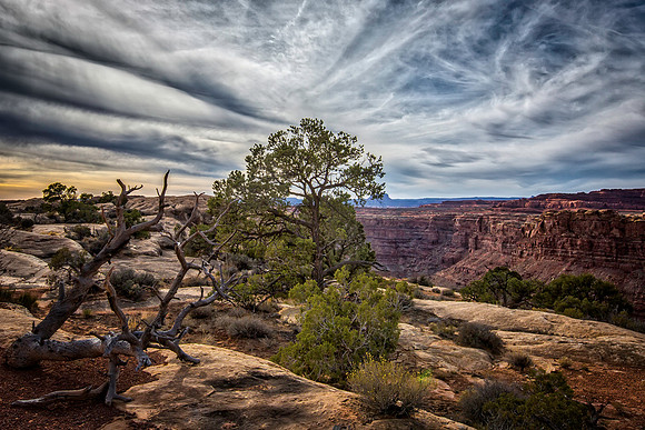 Canyonlands - Needles District