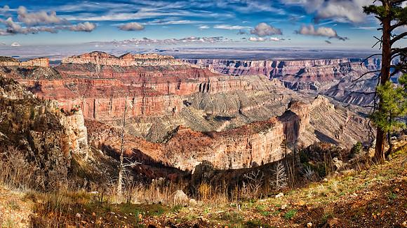 Grand Canyon North Rim - Point Imperial