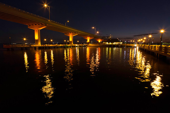 Night Fishing at A. Max Brewer Bridge
