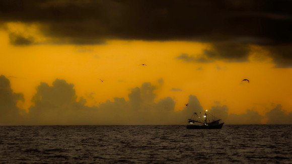 Sunrise Trawler